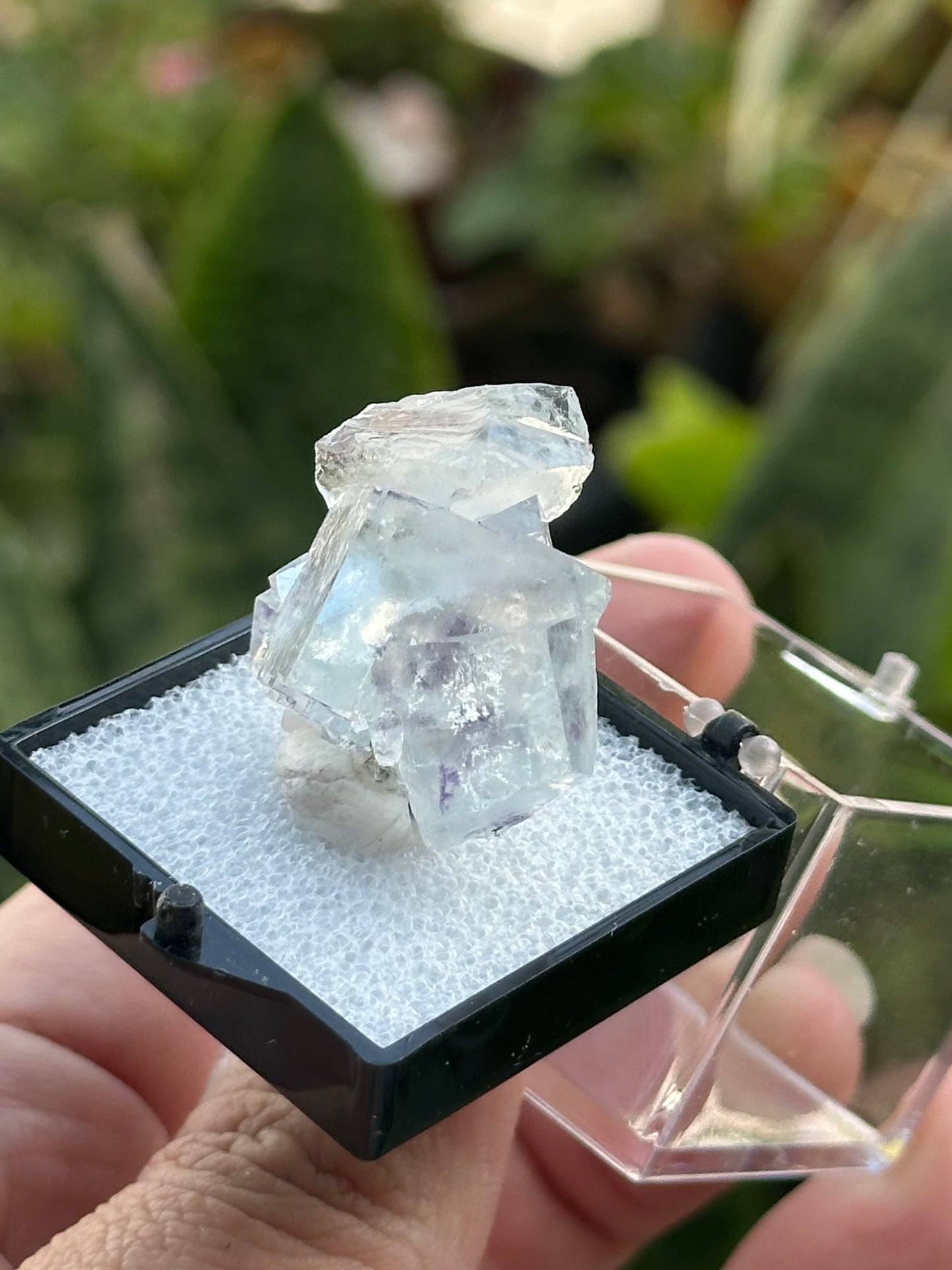 YGX Fluorite