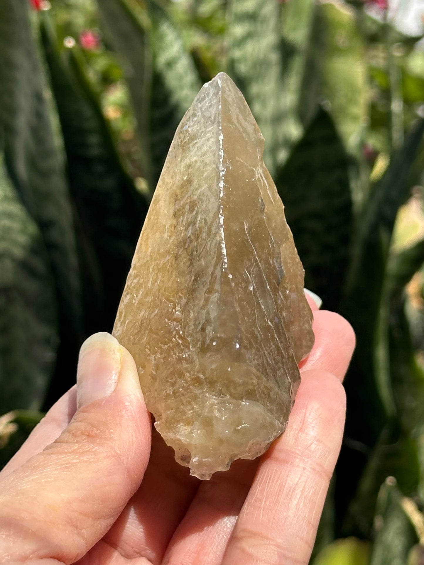 Etched Calcite with Galena