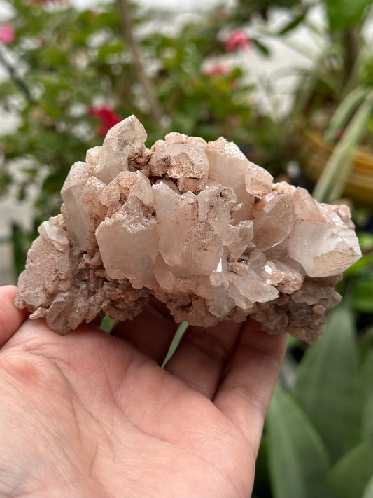 Tibetan Quartz