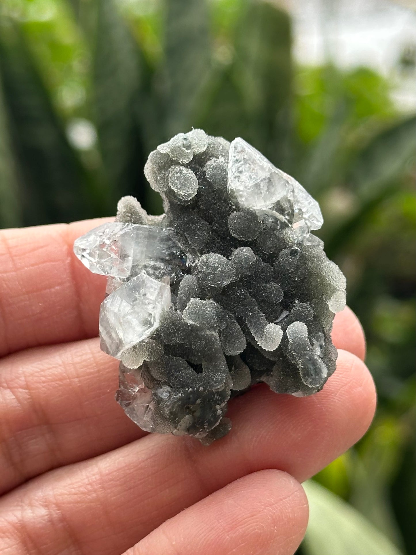 Black Chalcedony with Apophyllite