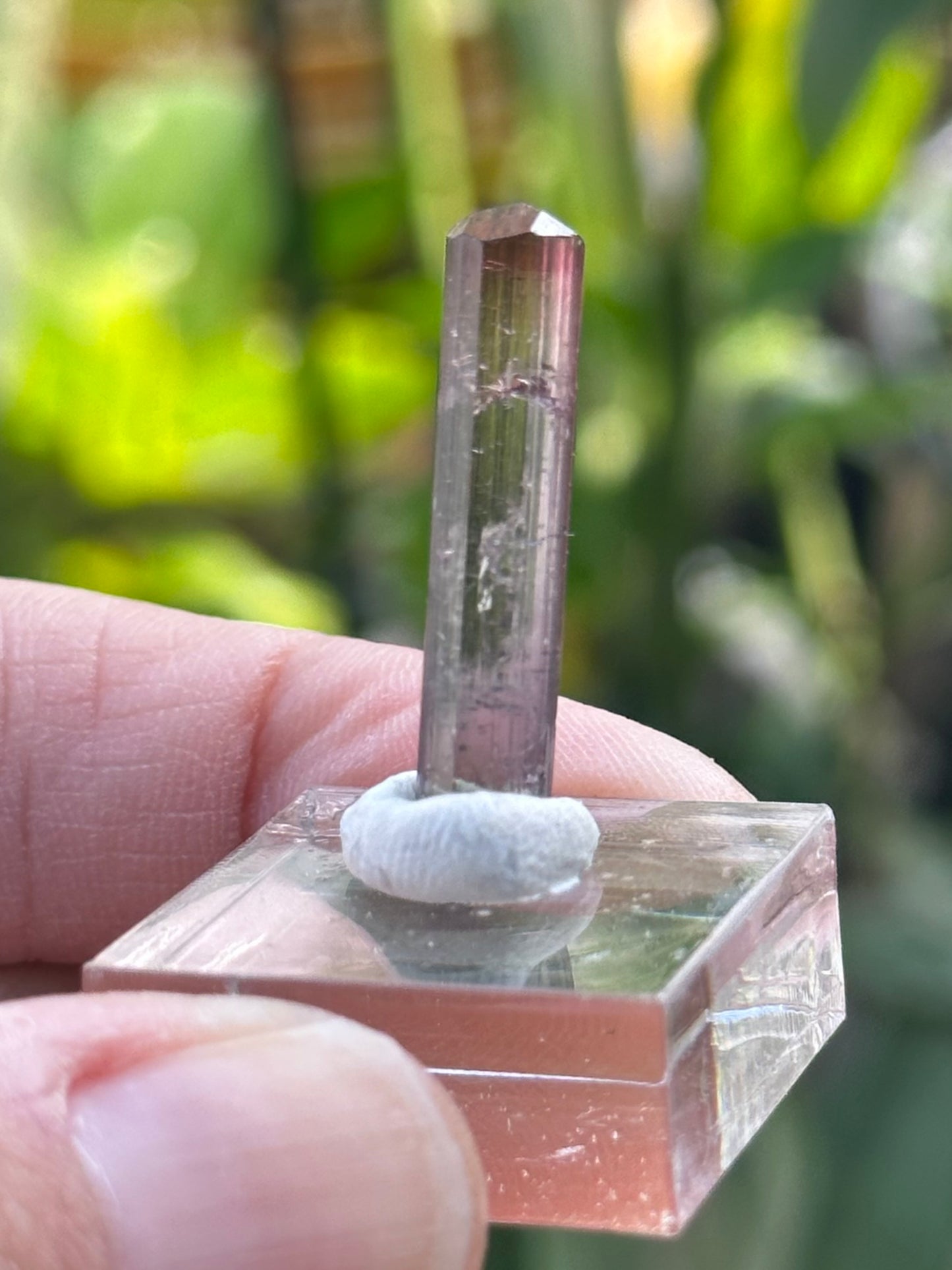 Tourmaline from Barra do Salinas, Brazil