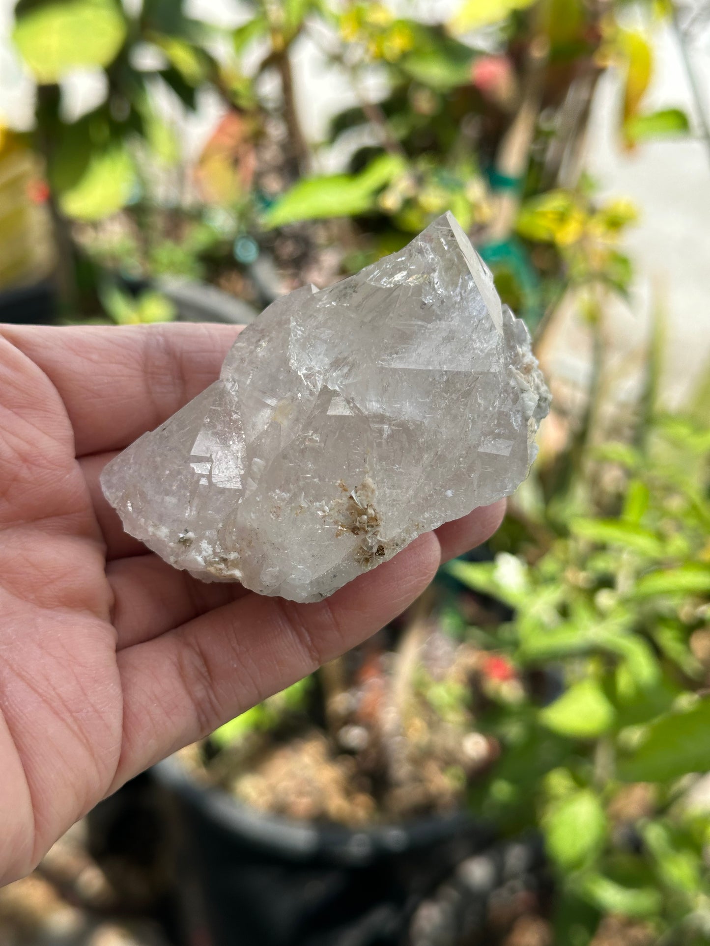 Swiss Quartz Specimen