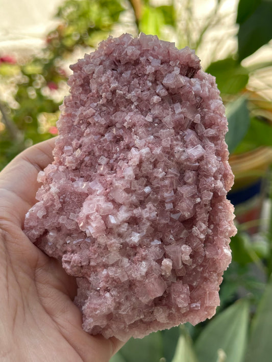 Pink Halite from Searles Lake, California