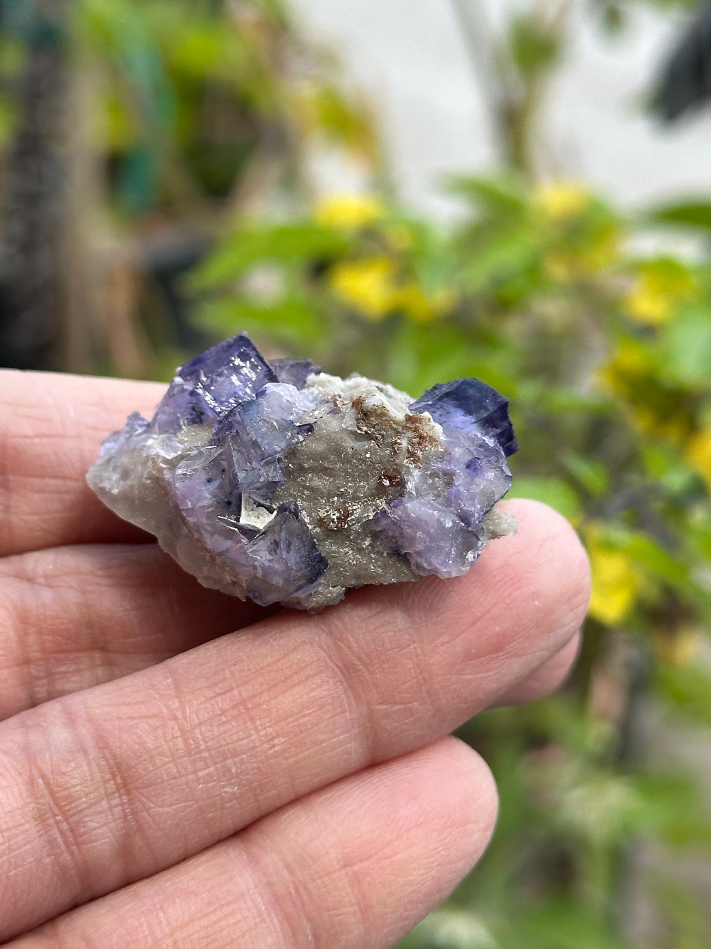 Elmwood Fluorite
