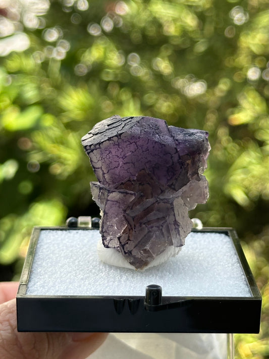 QR Code Fluorite Specimen in a perky box from the Quinlong Mine, Guizhou, China