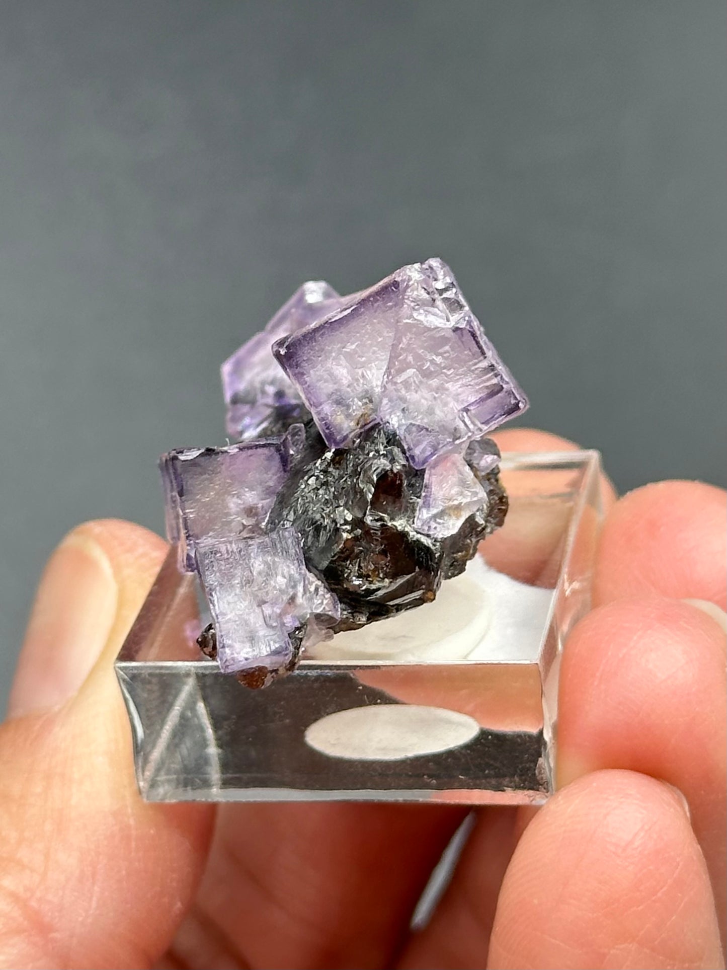 Elmwood Fluorite