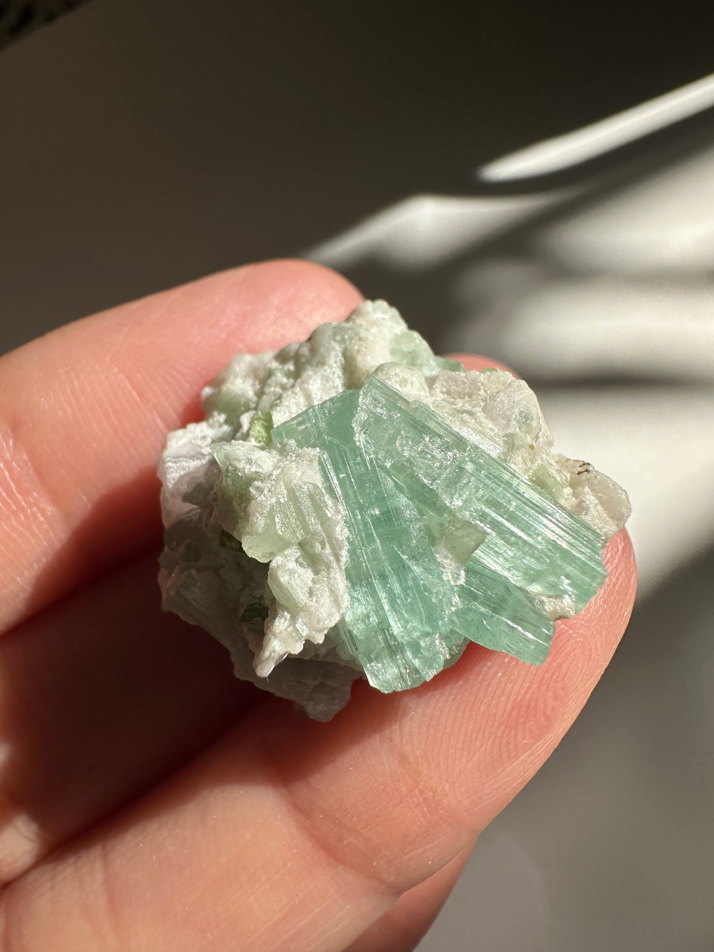 Tourmaline in Quartz