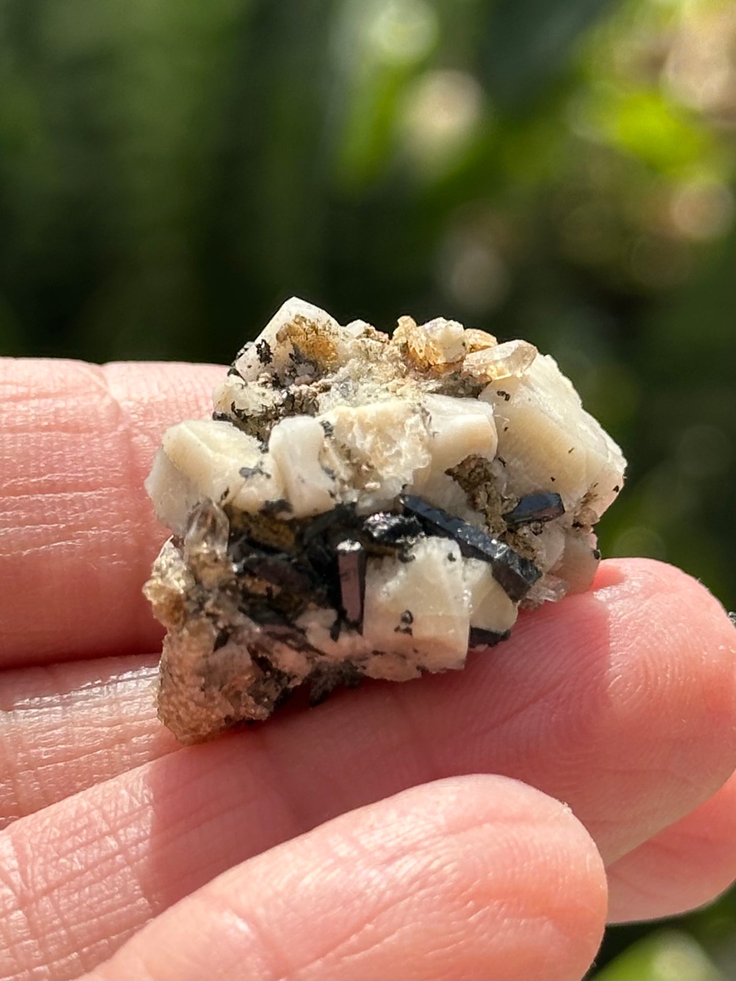Aegirine and Feldspar Specimen