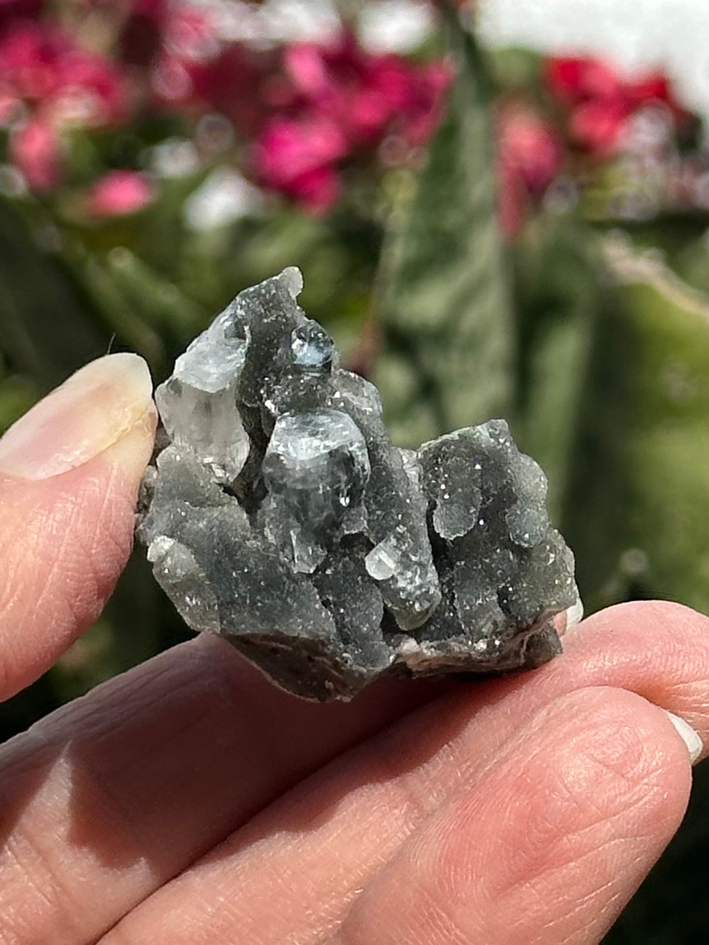 Black Chalcedony with Apophyllite