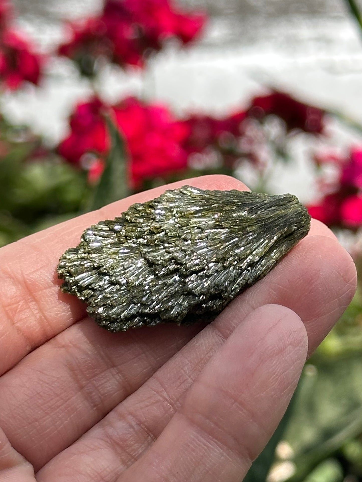 Epidote Fan