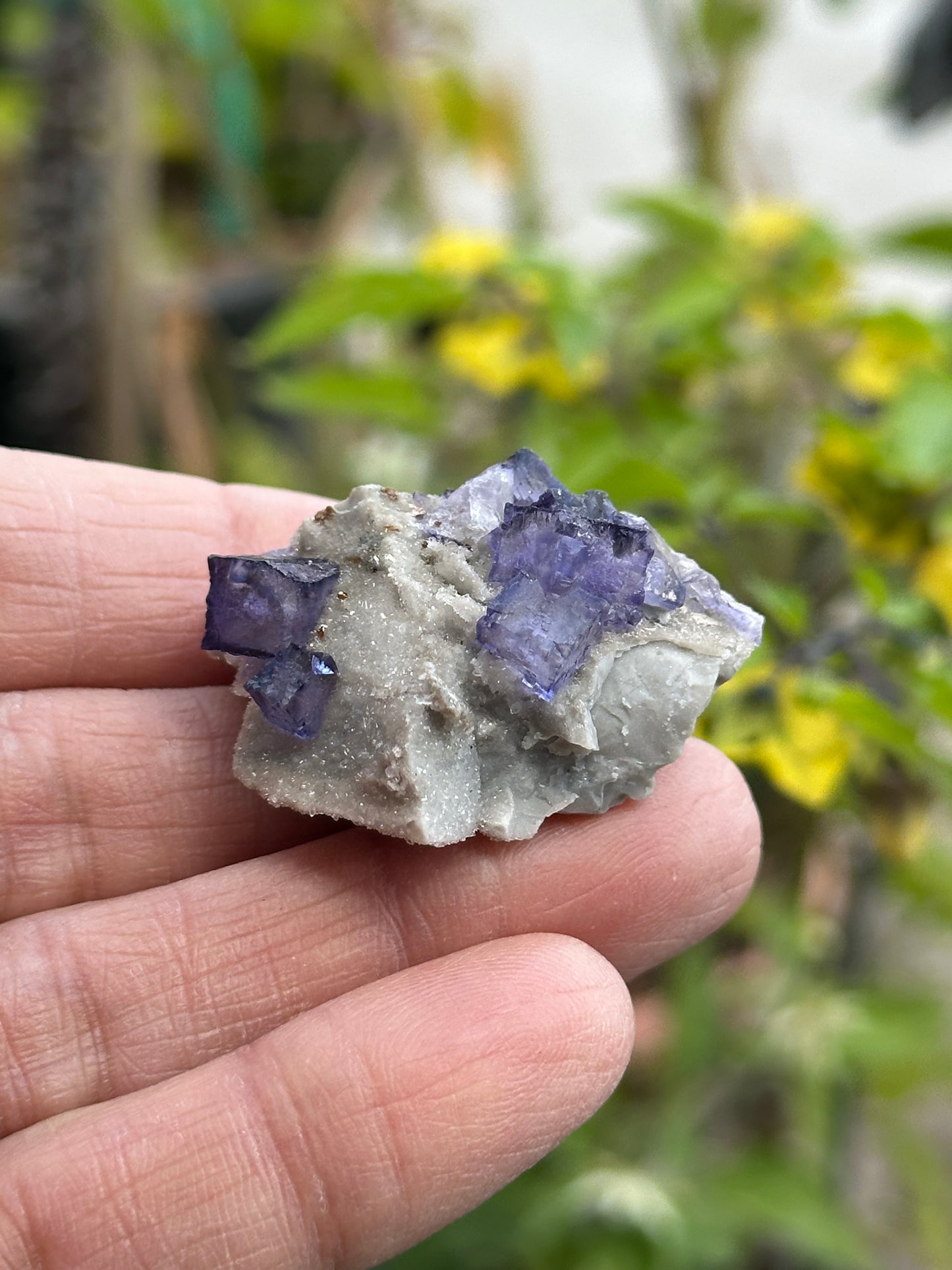 Elmwood Fluorite