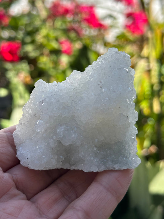 Apophyllite Specimen from India