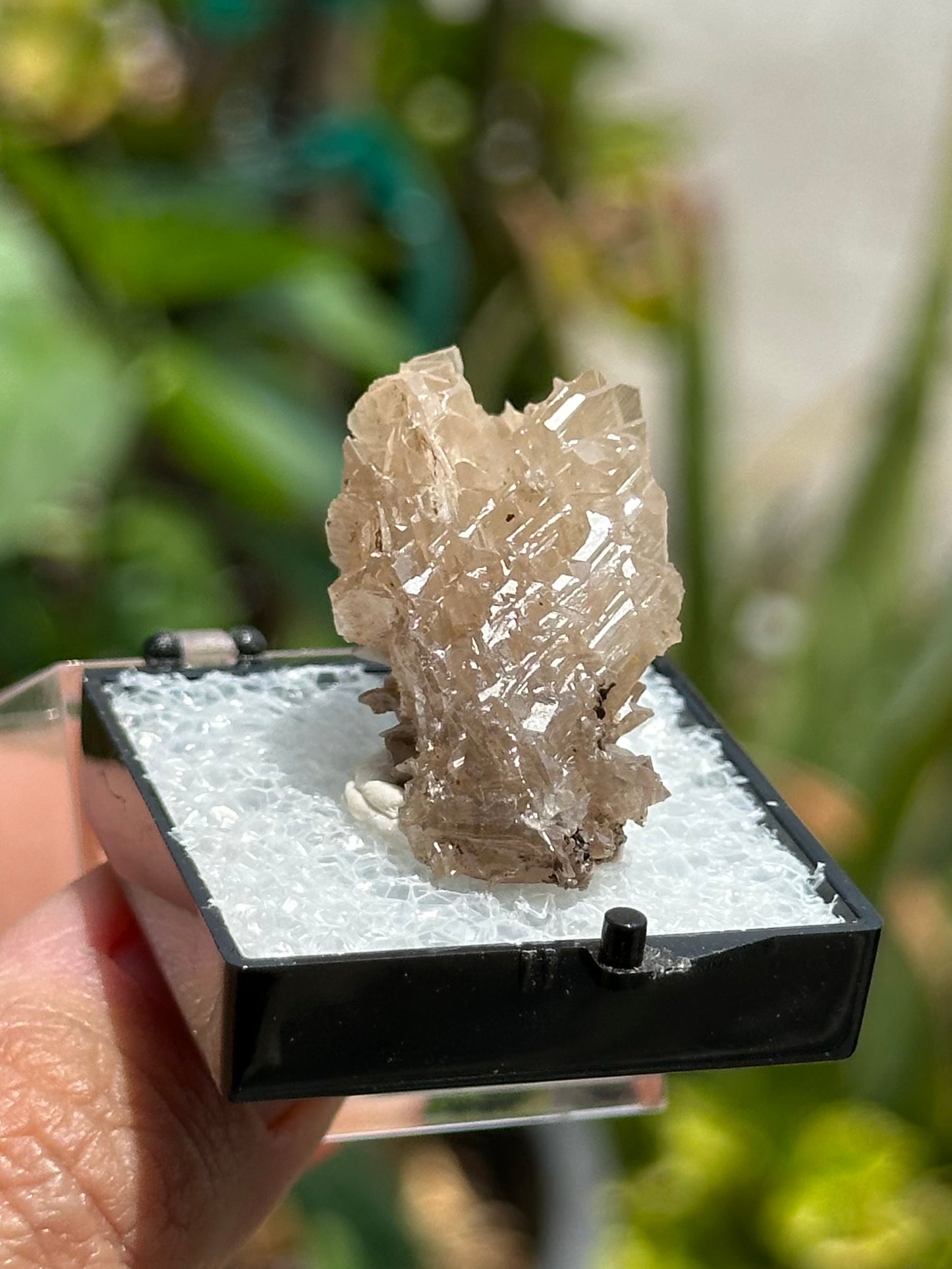 Cerussite
