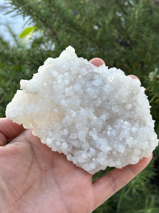 Apophyllite from India