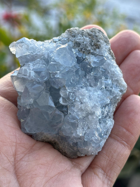 Celestite Cluster