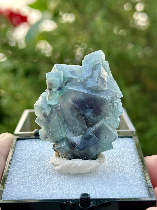 Fluorite in perky box from the Yindu Mine, Inner Mongolia, China