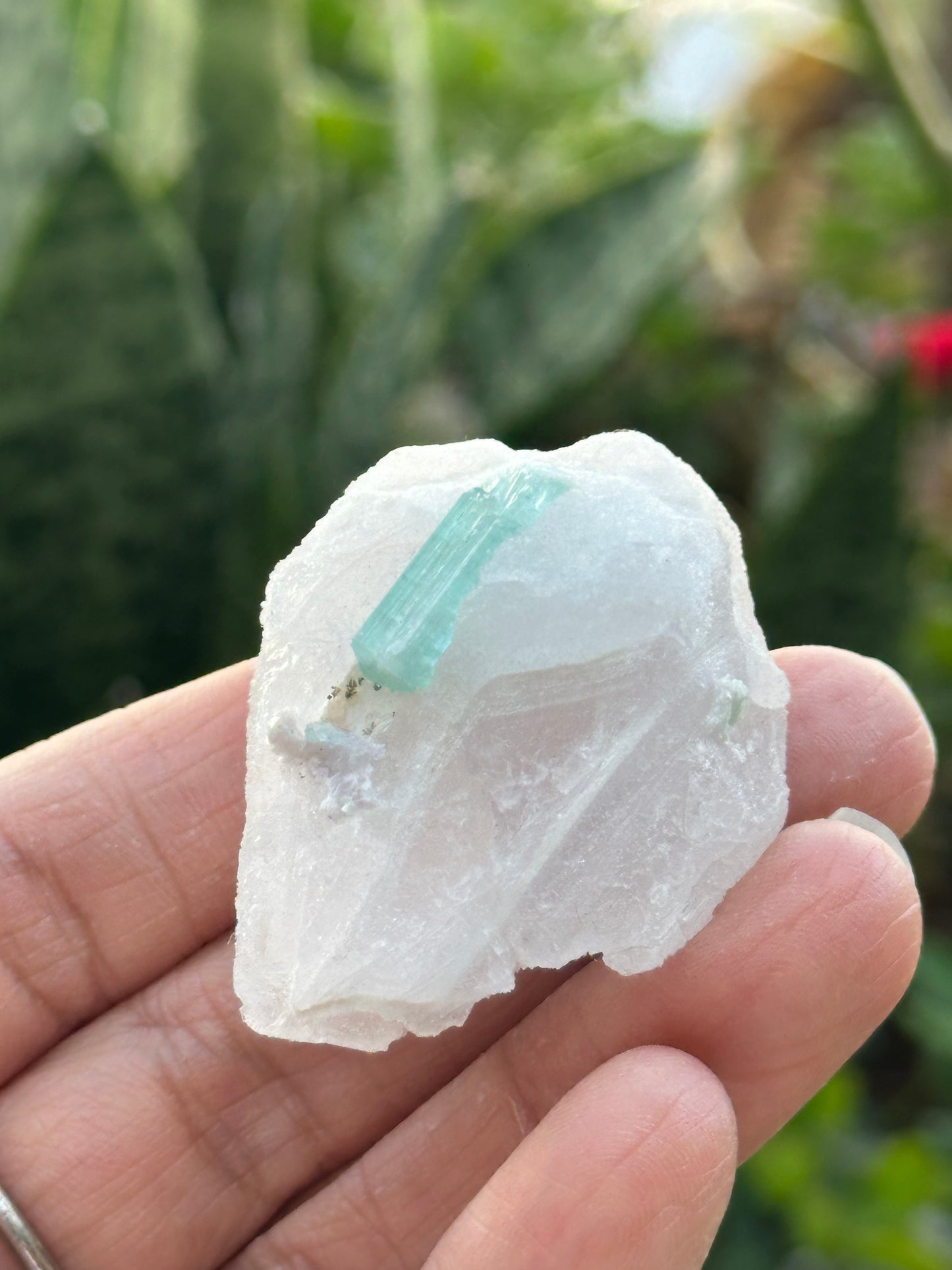 Tourmaline on Pollucite Specimen