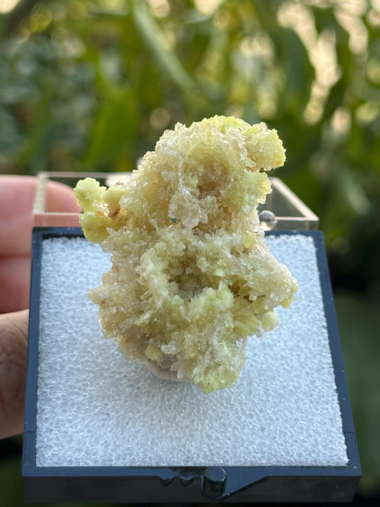 Creedite with Selenite in a perky box from Guizhou, Dachang, China