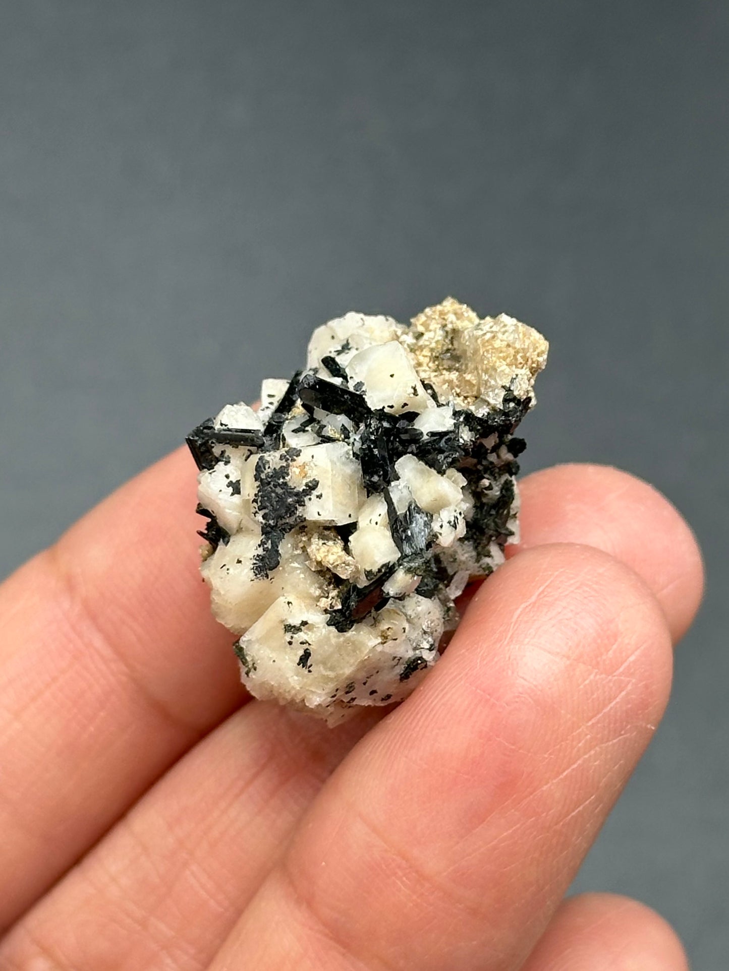 Aegirine and Feldspar Specimen