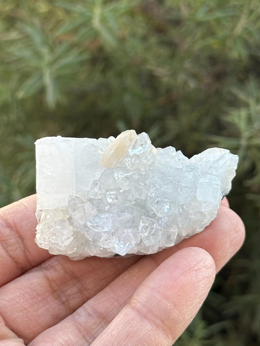 Apophyllite with Stilbite Specimen