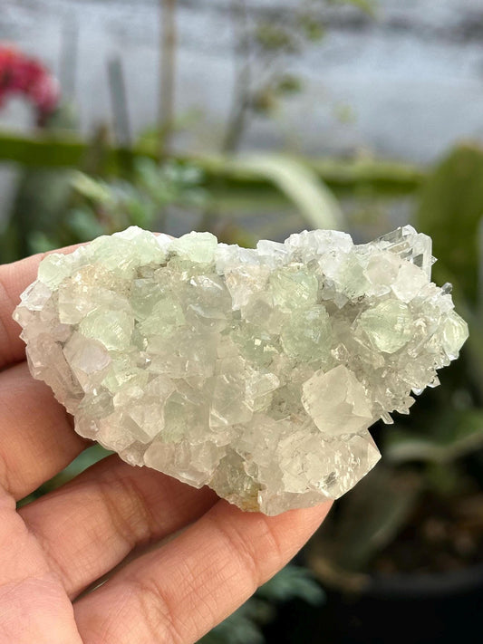 Prehnite, Calcite, and Quartz from the Goboboseb Mountains in the Erongo Region of Namibia