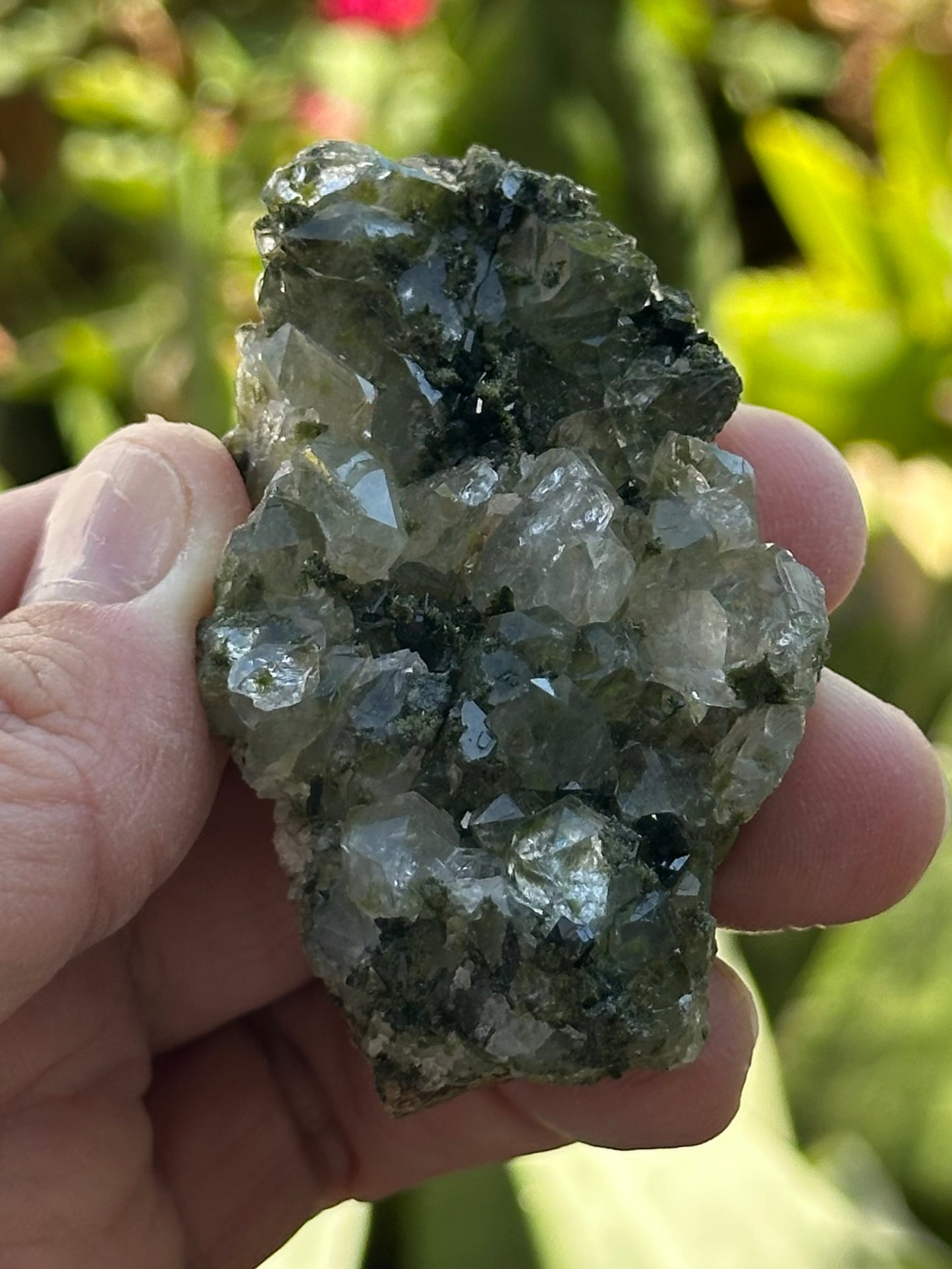 Epidote with Quartz