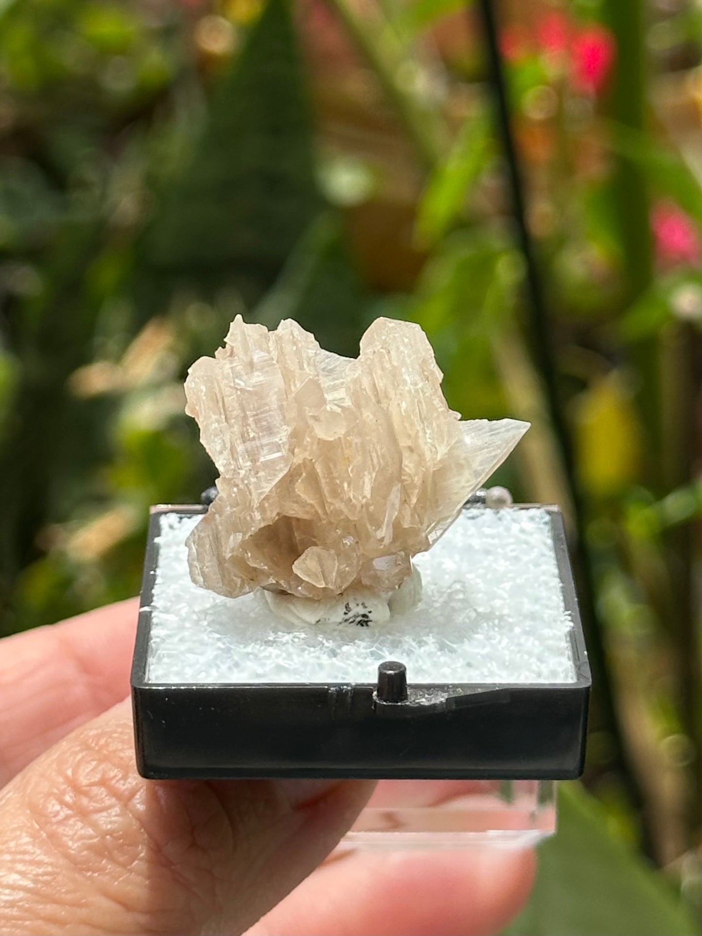 Cerussite
