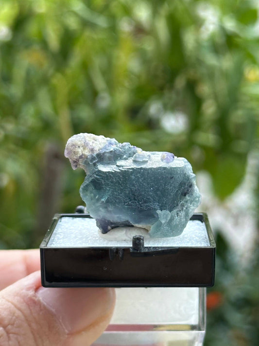 Fluorite from the Yindu Mine