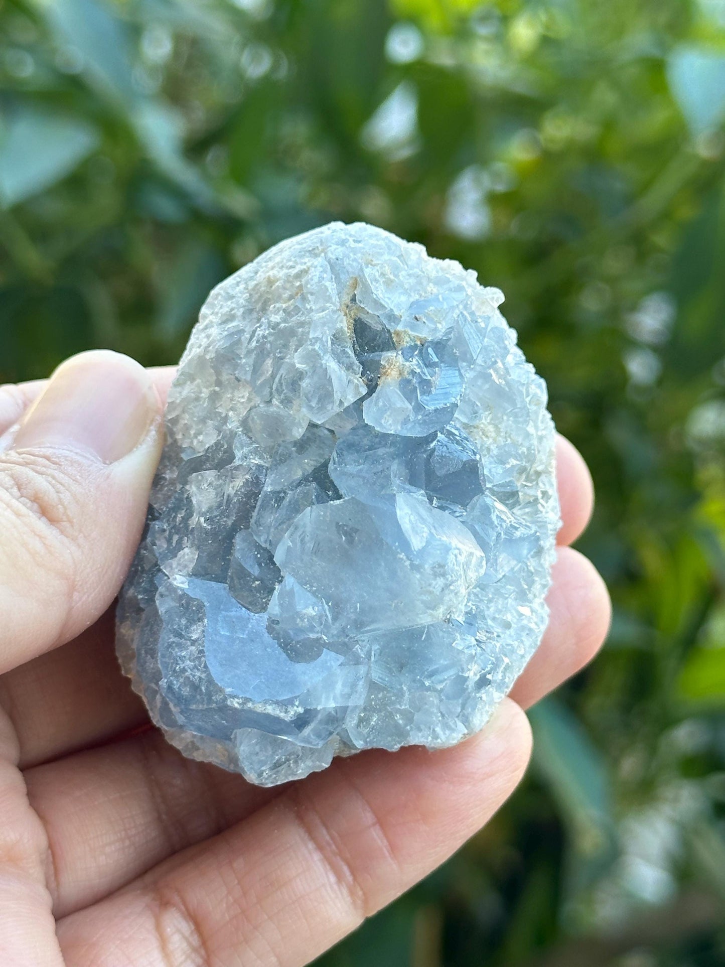 Celestite Cluster