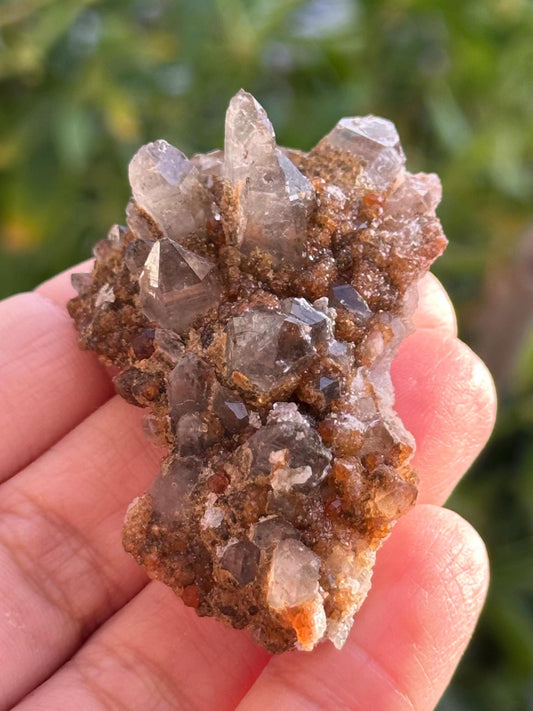 Smoky Quartz and Garnet Specimen from Tongbei