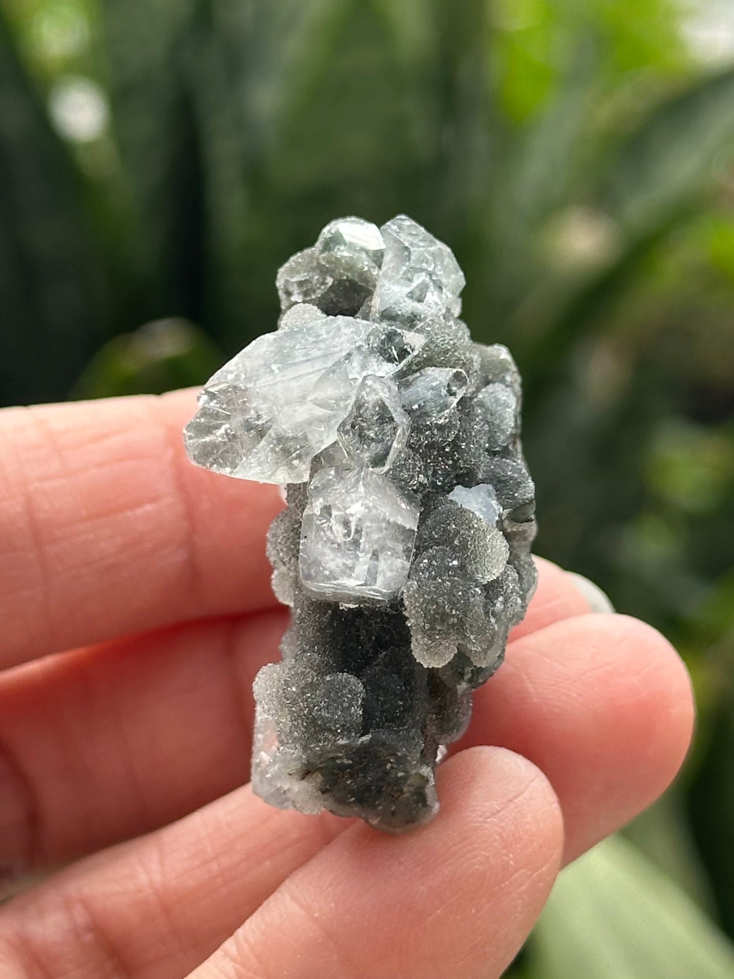 Black Chalcedony with Apophyllite