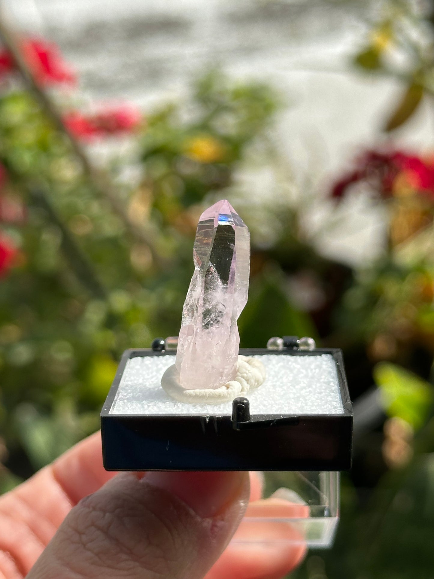 Veracruz Amethyst Crystal