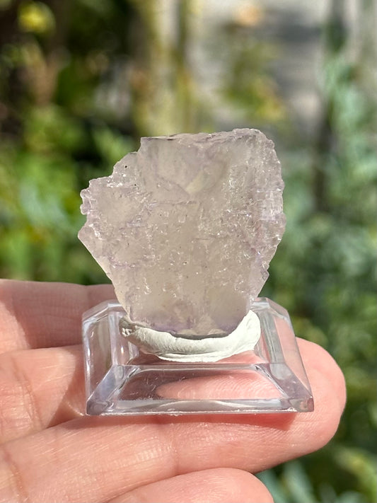 Fluorite from the Elmwood Mine