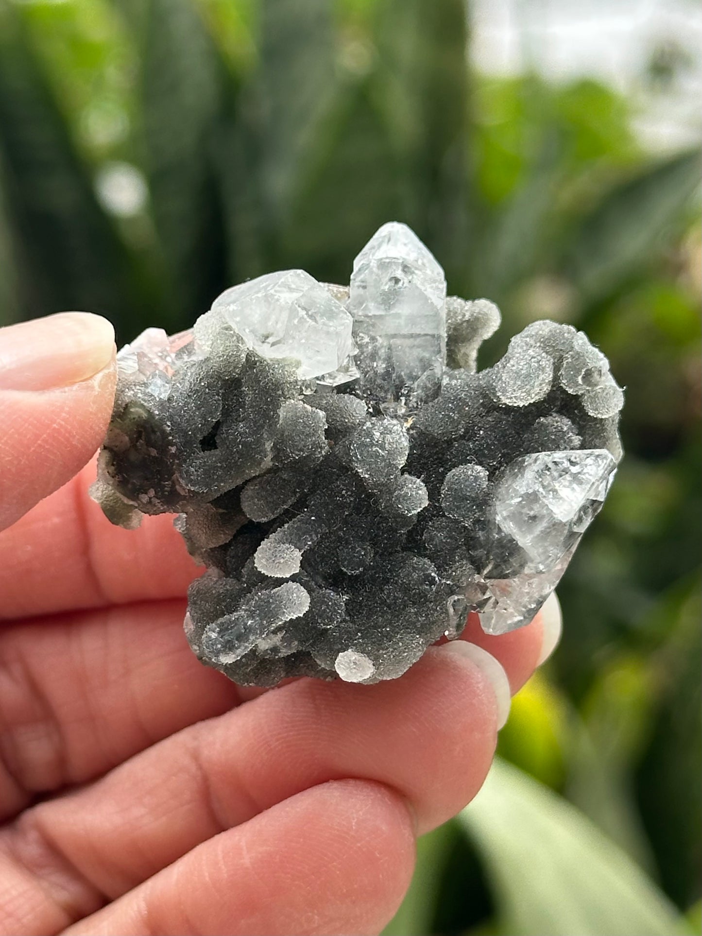 Black Chalcedony with Apophyllite