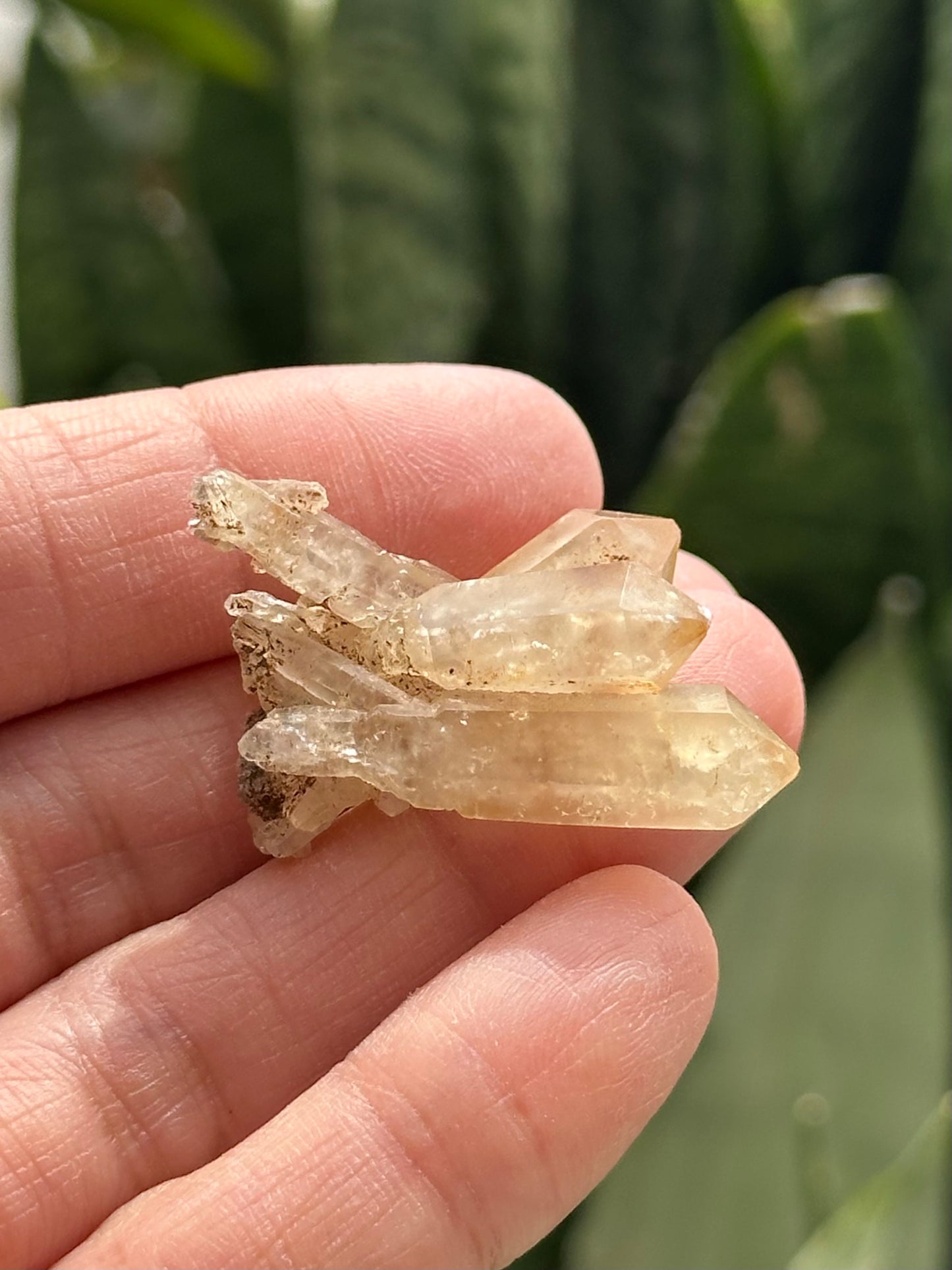 Quartz Scepter