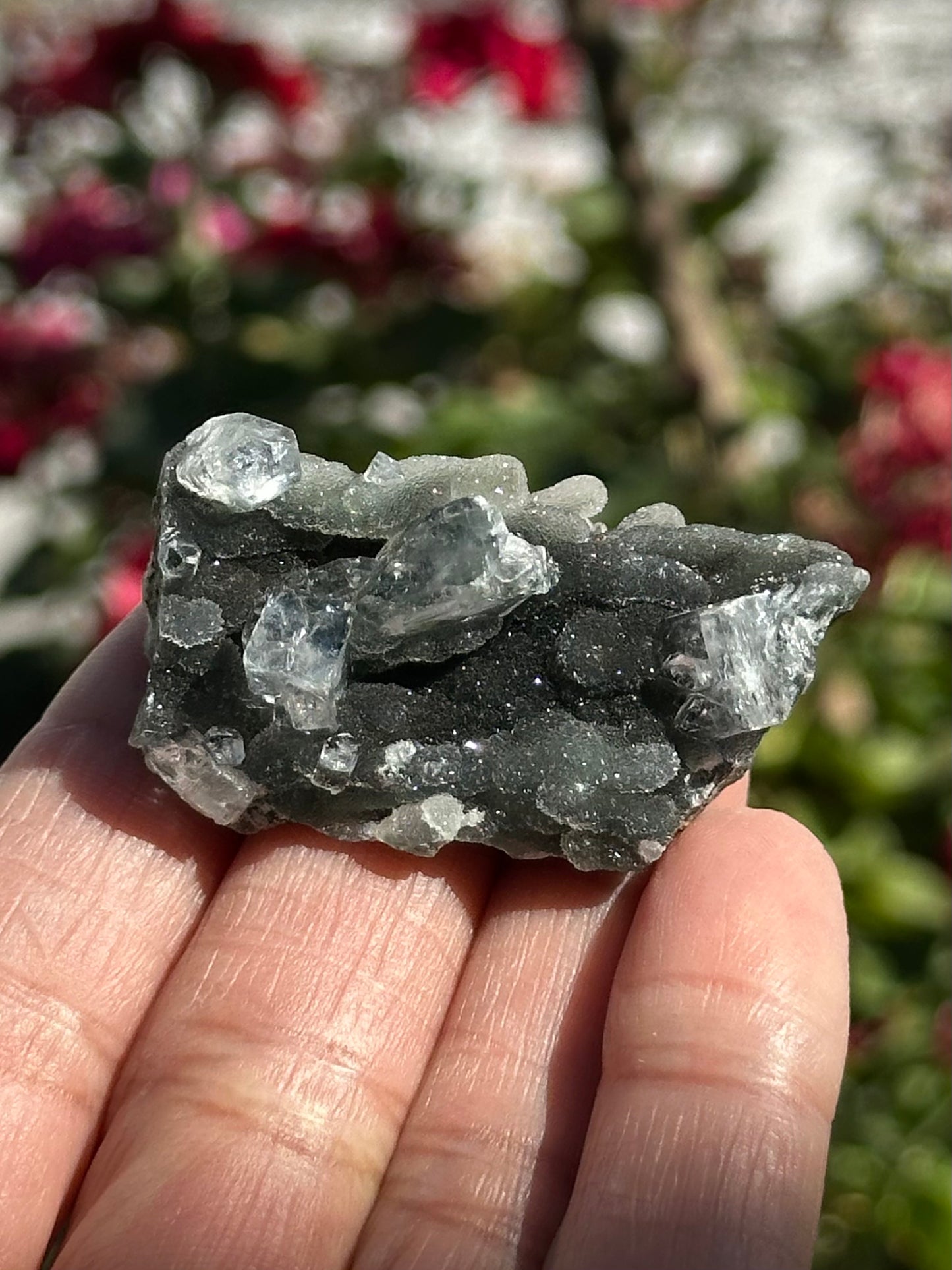 Black Chalcedony with Apophyllite
