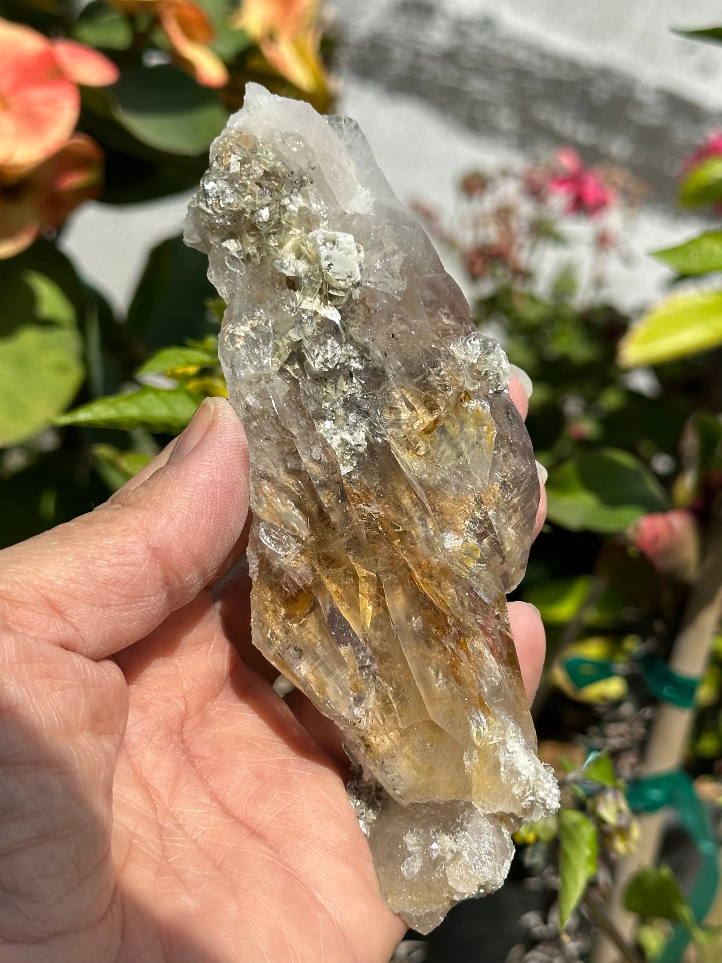 Swiss Quartz Specimen