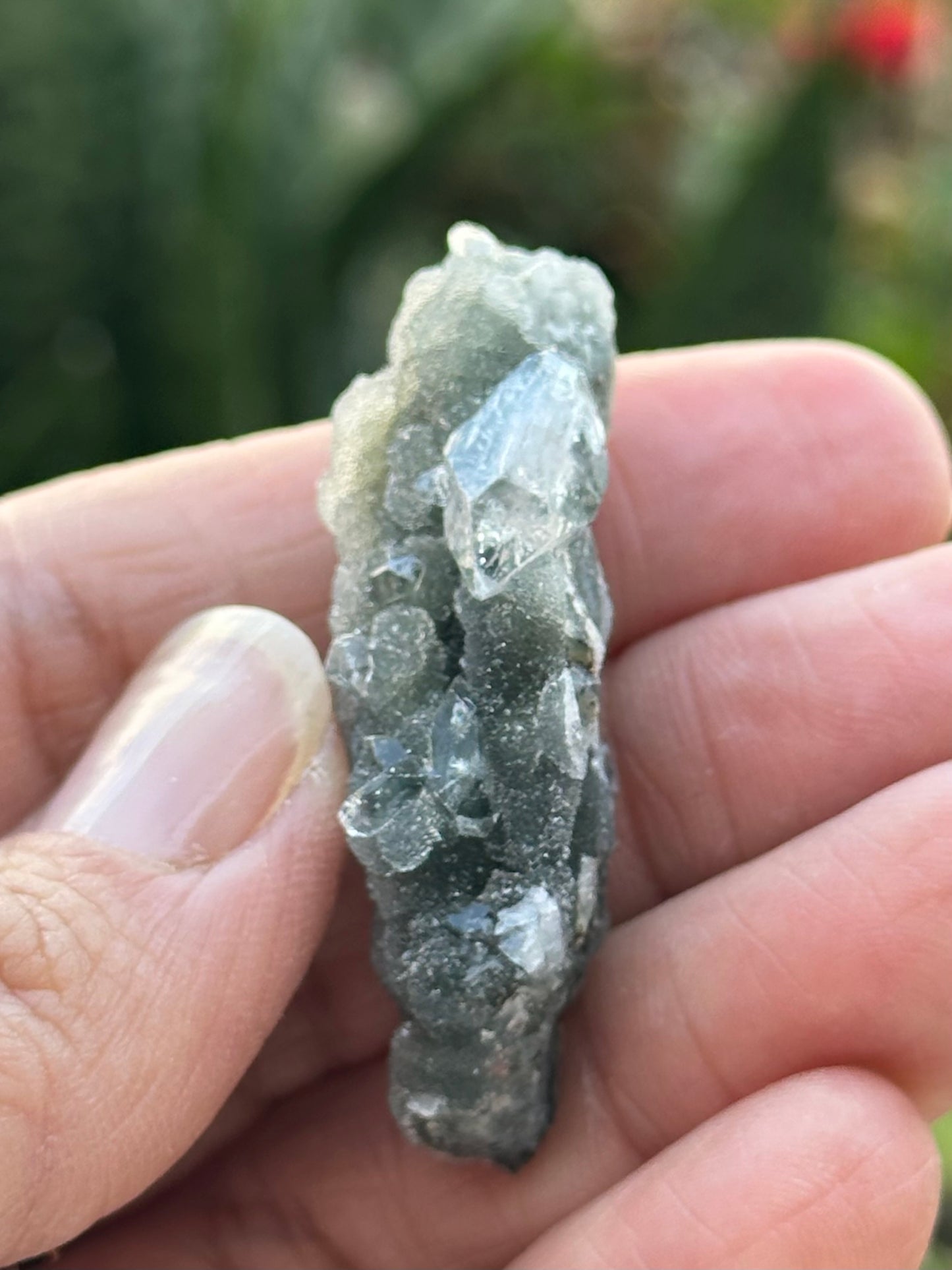 Black Chalcedony with Apophyllite