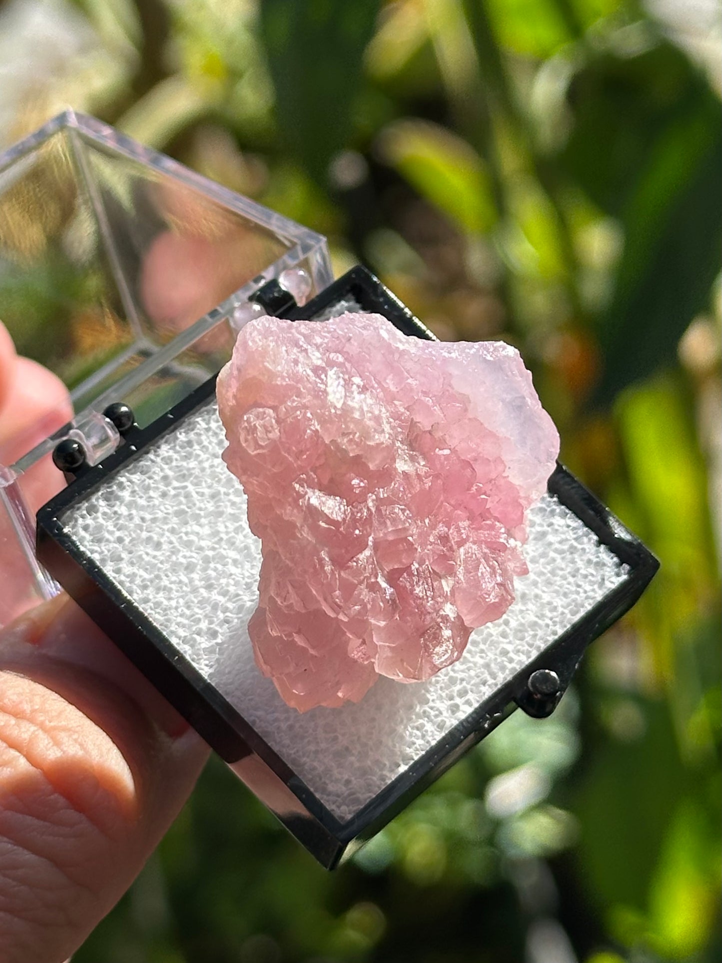 Crystallized Rose Quartz