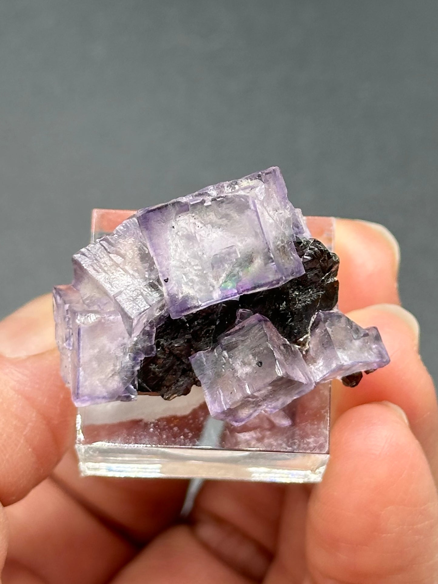 Elmwood Fluorite