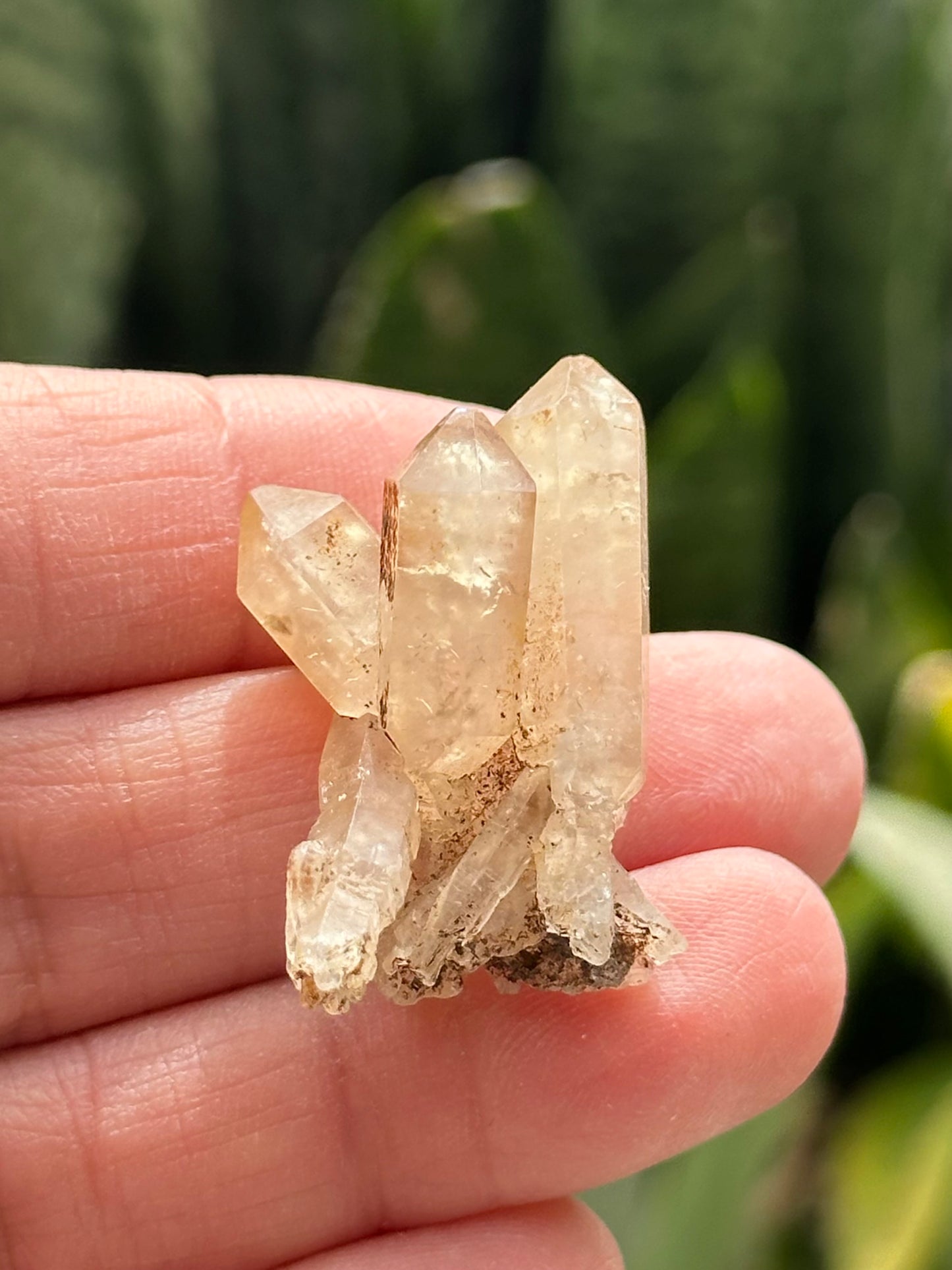 Quartz Scepter