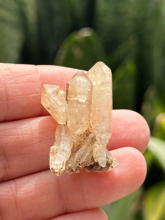 Quartz Scepter
