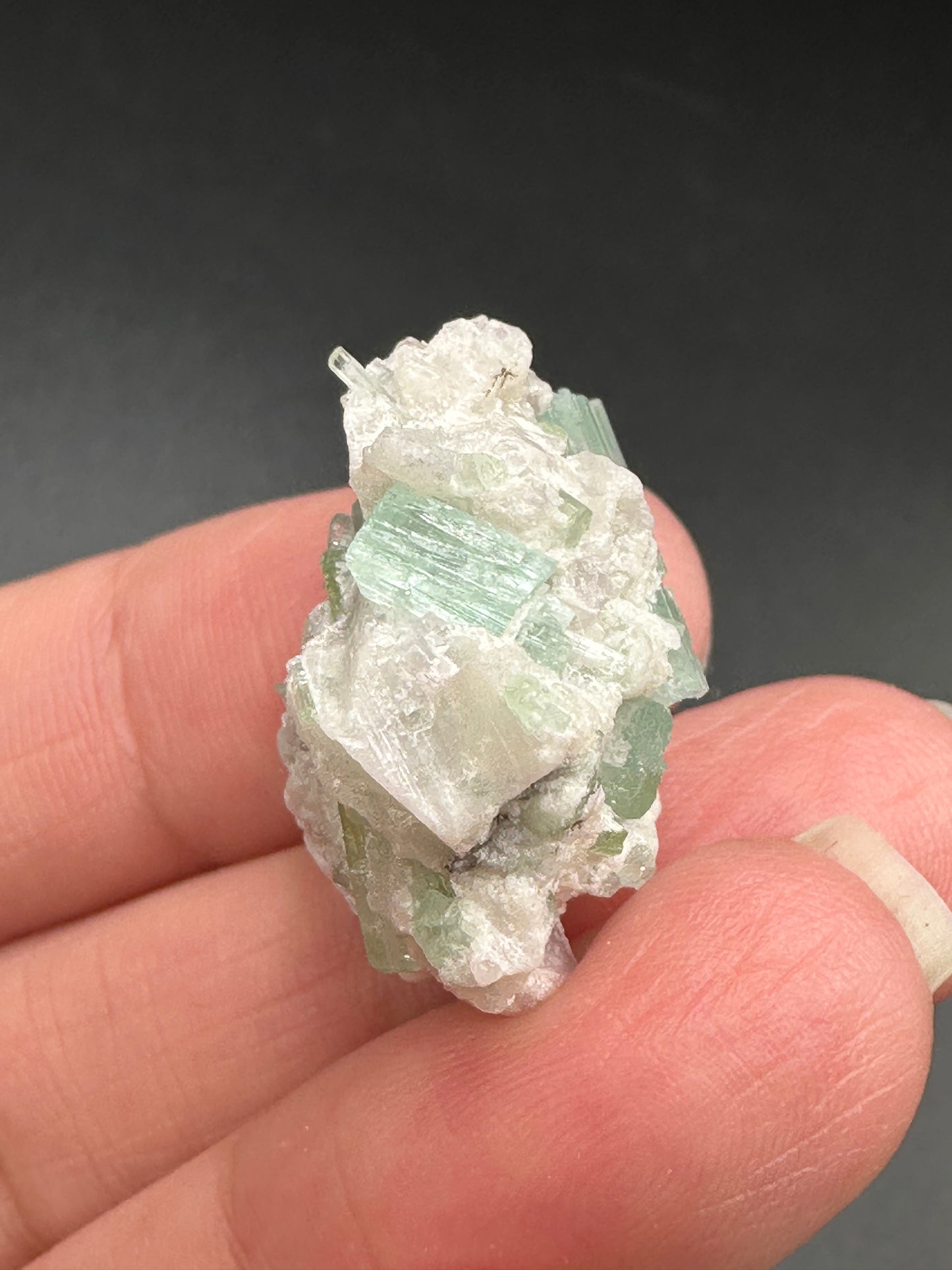 Tourmaline in Quartz