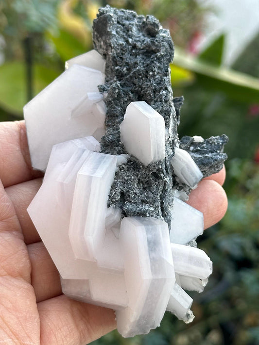Sandwich Calcite