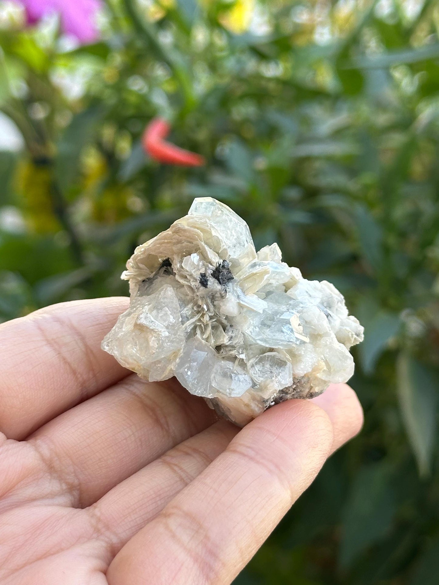Aquamarine with Albite and Pegmatite