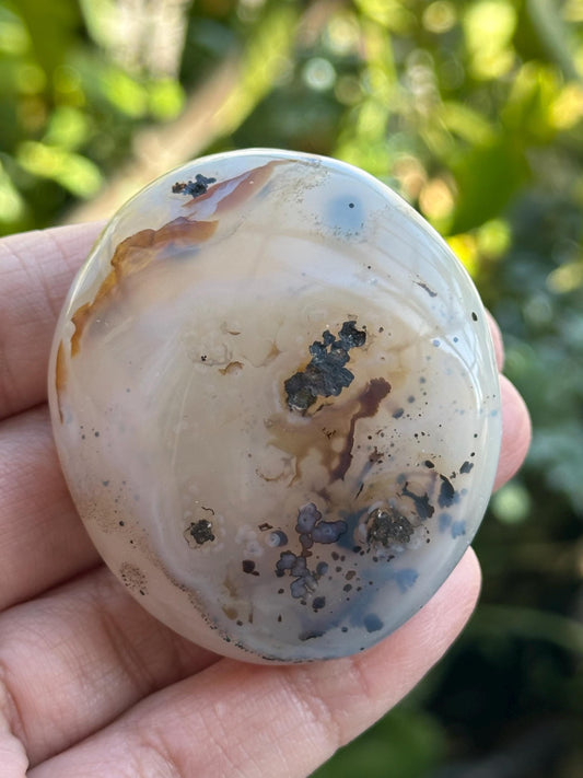 Small Dendritic Agate Palm Stone from Madagascar