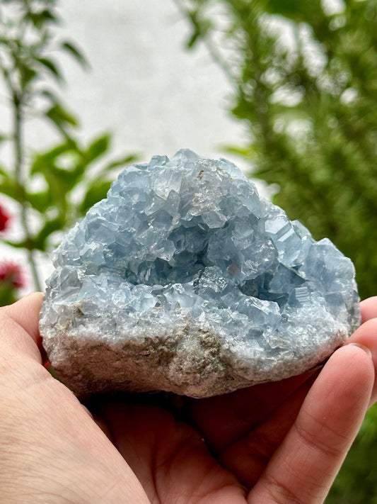 Celestite Cluster from Madagascar
