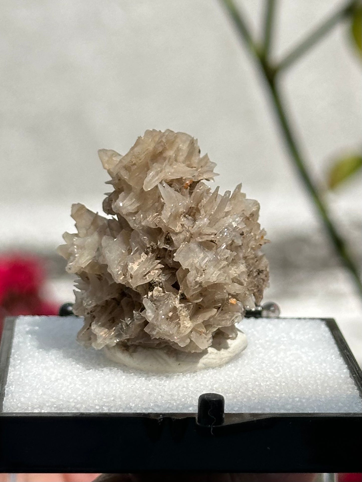 Cerussite