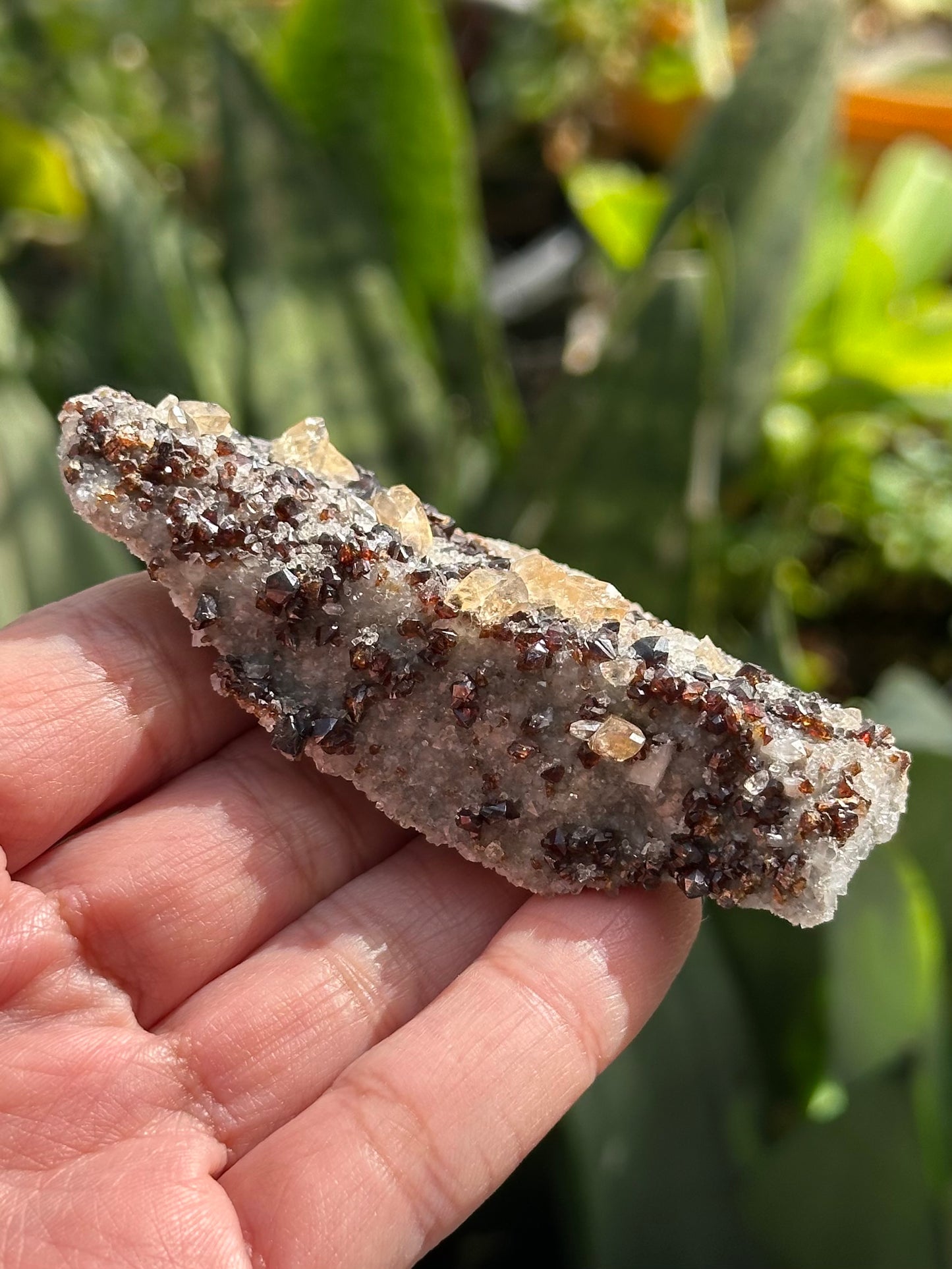 Calcite with Sphalerite and Dolomite from the Elmwood Mine
