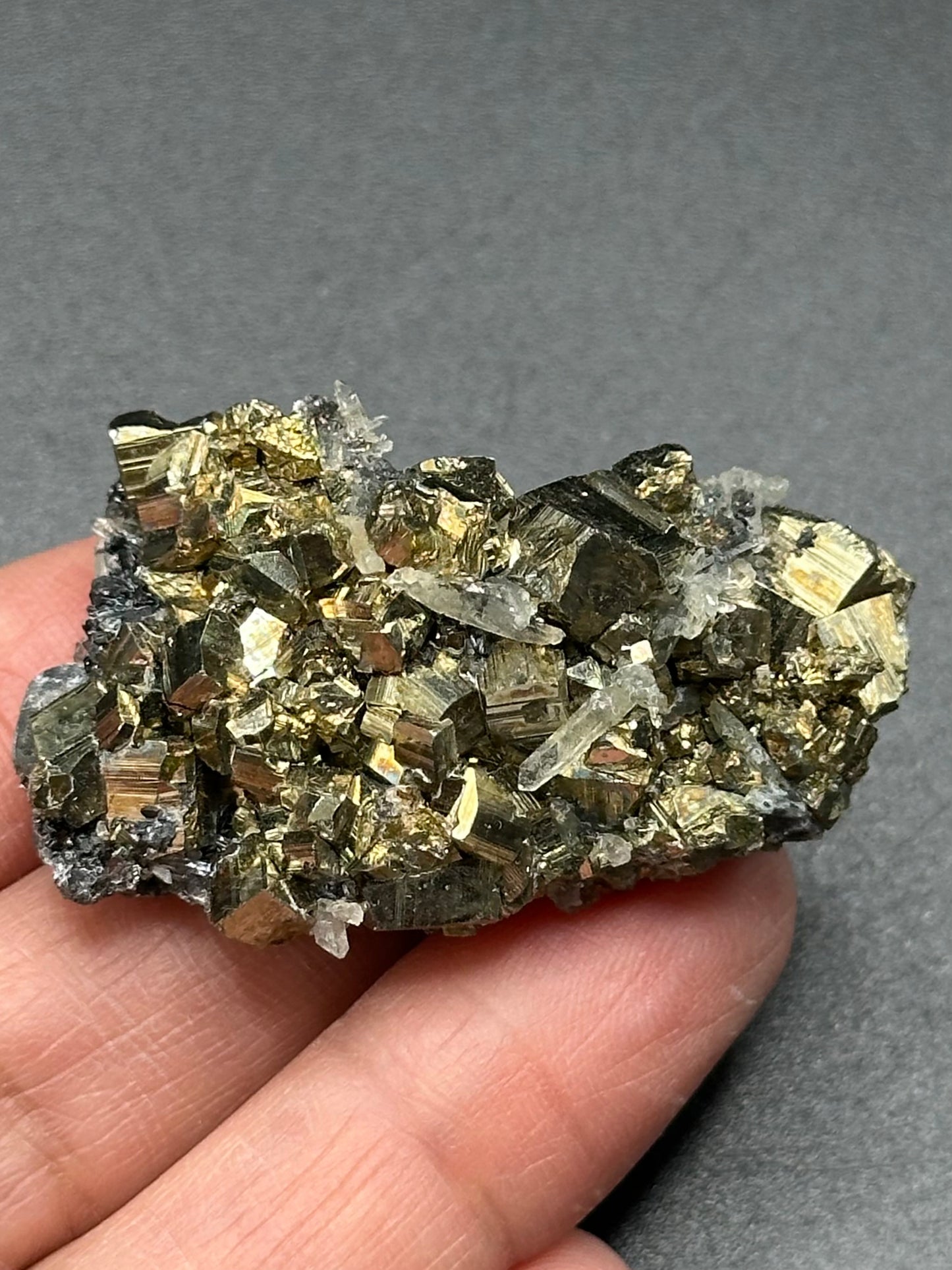 Pyrite and Quartz